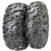 ITP Blackwater ATV Tires